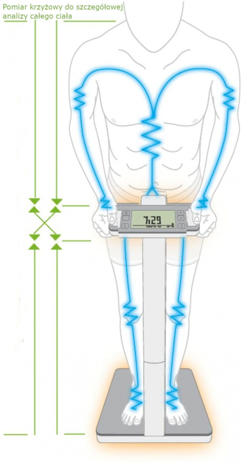 Waga diagnostyczna BF 1000 Beurer SuperPrecision – analiza całego ciała citomedical.pl 13