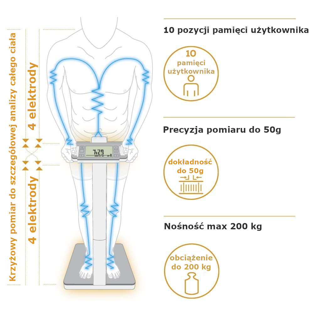 Waga diagnostyczna BF 1000 Beurer SuperPrecision – analiza całego ciała citomedical.pl 3